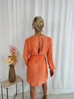 Ellie Sparkle Dress - Orange Dress 